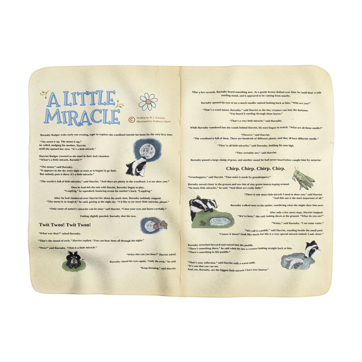 "A Little Miracle" Keepsake Fleece Story Blanket