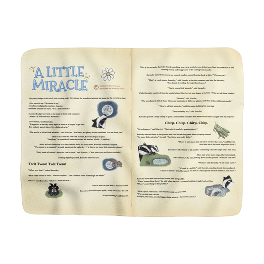 "A Little Miracle" Keepsake Fleece Story Blanket